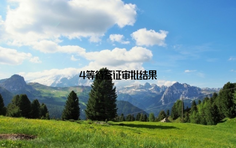 4等待签证审批结果