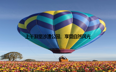 上午游览沙澧公园, 享受自然风光