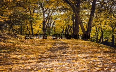 品尝手抓饭, 感受新疆的独特风味