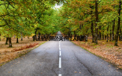 这里的景色美得让人陶醉