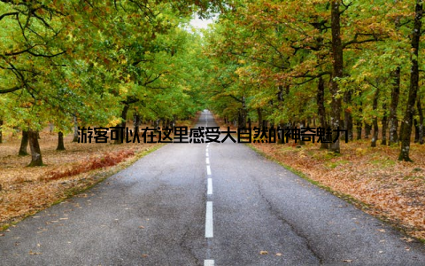 游客可以在这里感受大自然的神奇魅力